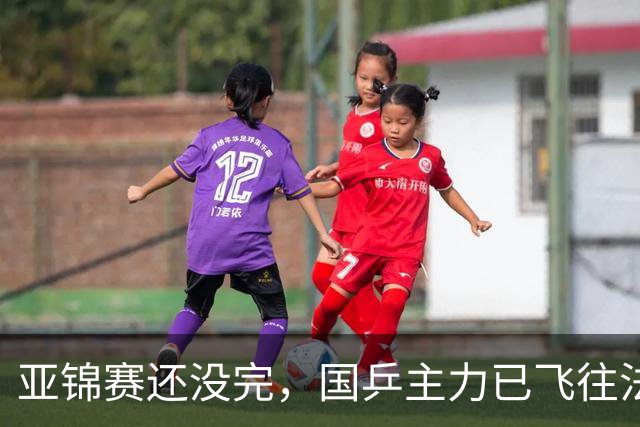 亚锦赛还没完，国乒主力已飞往法国，林诗栋成劳模，王楚钦又没来